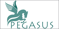 LOGO 9 LOGO 9