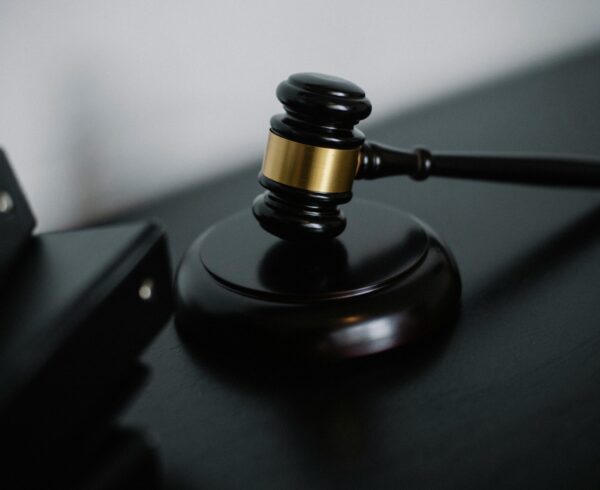 writ petition lawyer Madhya Pradesh